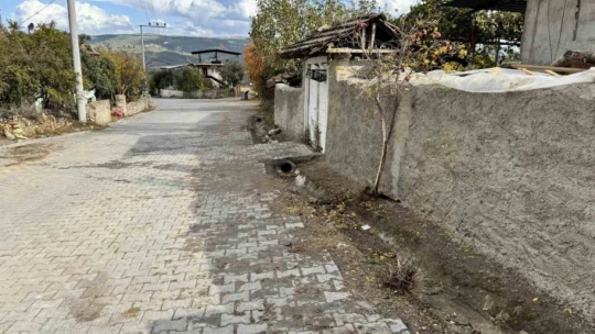 Karacasu'da mahalleler temizleniyor