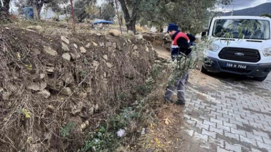 Karacasu'da mahalleler temizleniyor