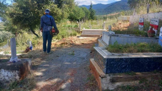 Karacasu'da mezarlıklar temizleniyor