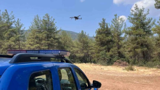 Karacasu'da ormanlarda sıkı denetim