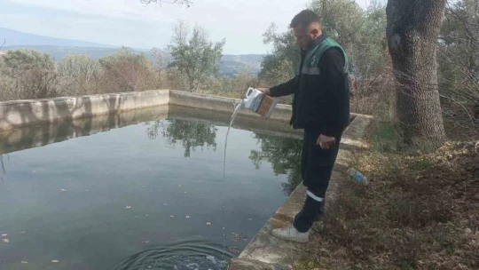 Karacasu'da sivrisinekle mücadele başladı