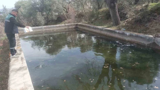 Karacasu'da sivrisinekle mücadele başladı