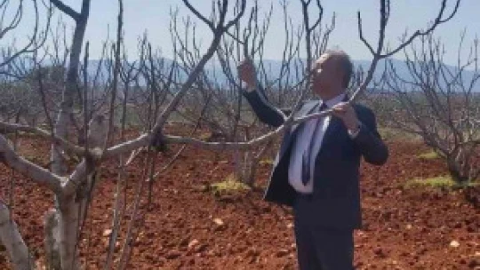 Karacasu'da üreticiler 'Kanlı balsıra' konusunda bilgilendirildi