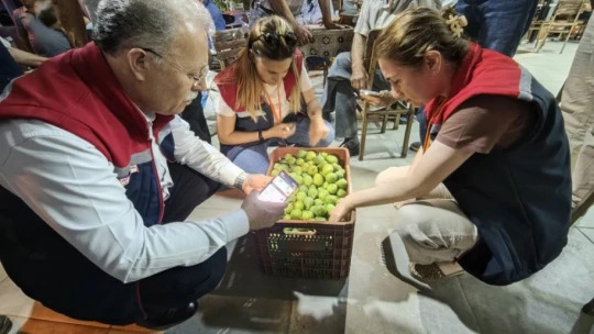 Karacasu'da üreticiye kaliteli ilek uyarısı