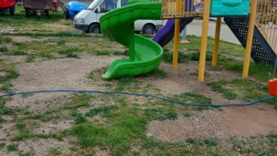 Karacasu'da yabani ot mücadelesi başladı