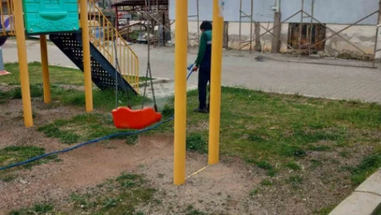 Karacasu'da yabani ot mücadelesi başladı