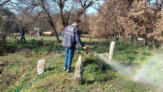 Karacasu'da yabani otlar ilaçlandı