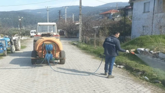 Karacasu'da yabani otlar ilaçlandı