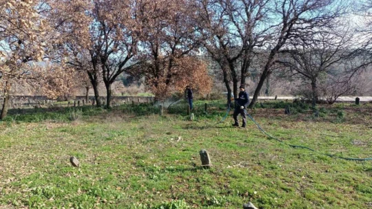 Karacasu'da yabani otlar ilaçlandı