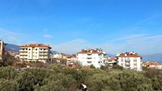 Karacasu'da yüzme havuzu tadilata alındı
