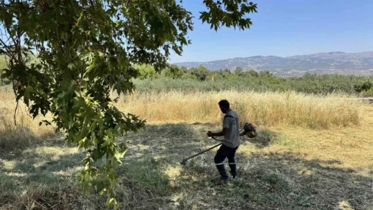 Karacasu'nun gözde yaylasında temizlik mesaisi
