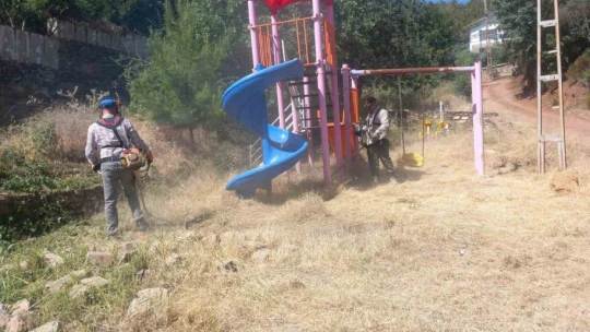Karacasu'nun gözde yaylasında temizlik mesaisi