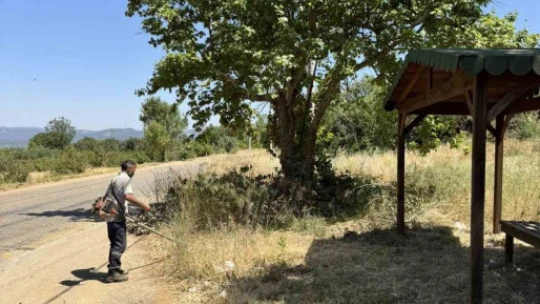Karacasu'nun gözde yaylasında temizlik mesaisi
