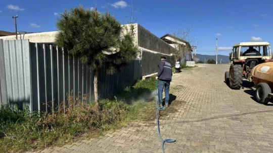 Karacasu yaza hazırlanıyor