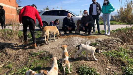 Karacasu'da sokak canları artık üşümeyecek