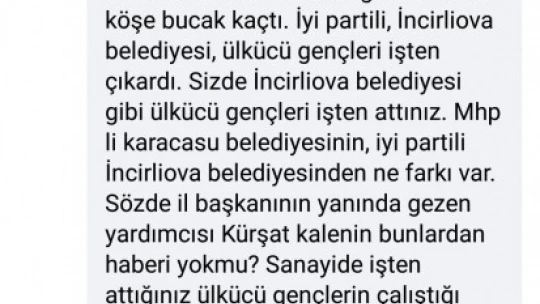 Karacasu'da MHP kurucusu, belediyeye ve parti yönetimine ateş püskürdü