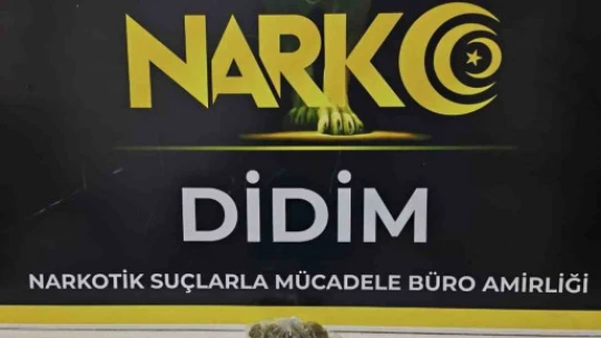 Kargo ile Aydın'a uyuşturucu sokan Alman şüpheli yakalandı