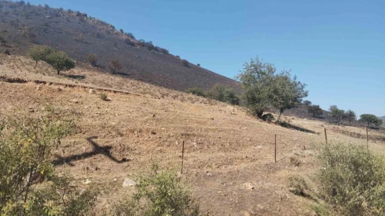 Karpuzlu'daki makilik yangın kontrol altına alındı