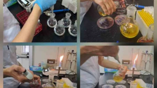 Karya Farma HBX rekor tazeledi