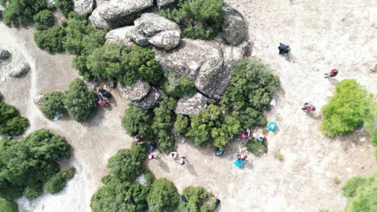 Kavşit Yaylası'nda ormanlar çöpten arındırıldı
