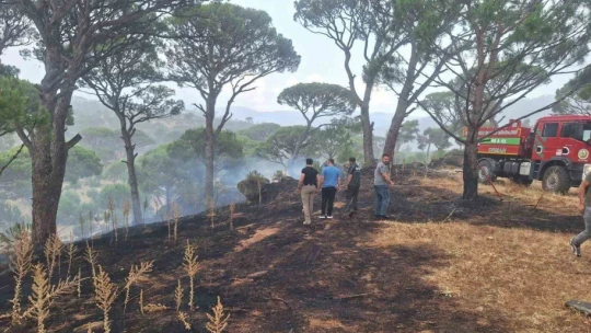 Kaymakam Gökçe, yangın ve taşkın bölgelerinde incelemelerde bulundu