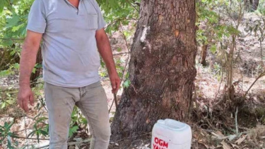 Kaymakam Gündoğdu'dan örnek muhtara teşekkür belgesi