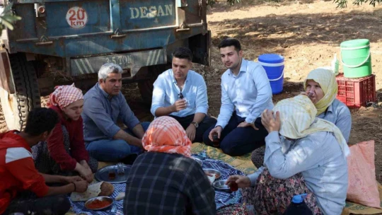 Kaymakam Gündoğdu ve Cumhuriyet Savcısı Tan tütün hasadına katıldı