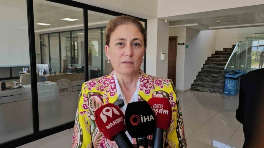 Kaymakam Kan, Nazilli OSB'de incelemelerde bulundu