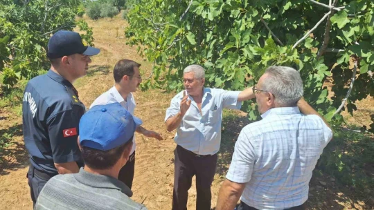 Kaymakam Polat, incir üreticileriyle bir araya geldi
