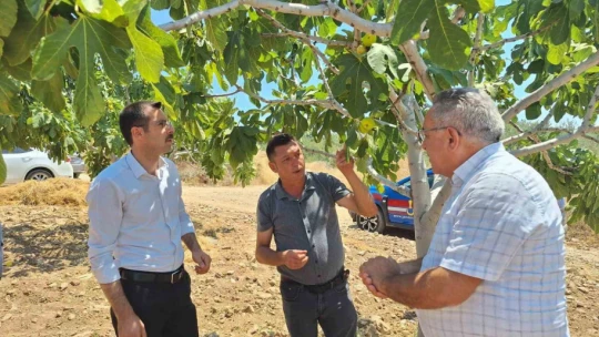 Kaymakam Polat, incir üreticileriyle bir araya geldi