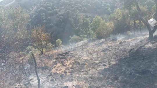 Kaynaktan çıkan kıvılcım 50 dönüm araziyi yaktı