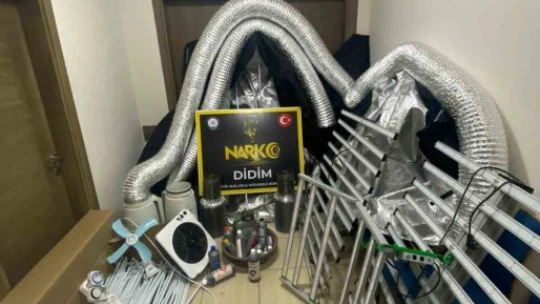 Kenevir yetiştirmek için bitki kabini kurmuş