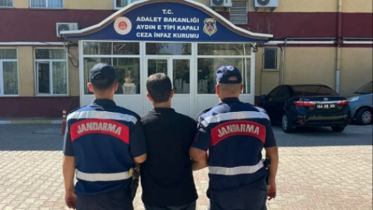 Kestane bahçesinde kenevir yetiştiren şüpheli yakalandı