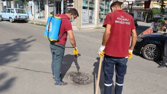 Koçarlı Belediyesi, haşereyle mücadelede 24 saat kesintisiz hizmet veriyor