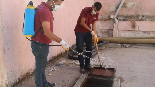 Koçarlı Belediyesi, haşereyle mücadelede 24 saat kesintisiz hizmet veriyor