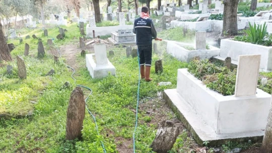 Koçarlı Belediyesi'nden haşere ve yabani otlara erken müdahale
