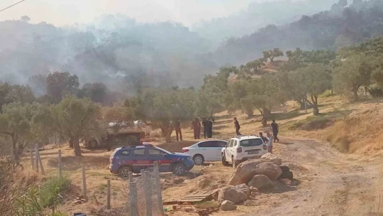 Koçarlı Belediyesi'nden orman yangınına destek