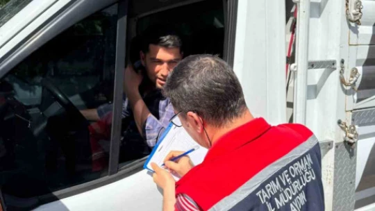 Koçarlı'da canlı hayvan nakil araçları denetlendi