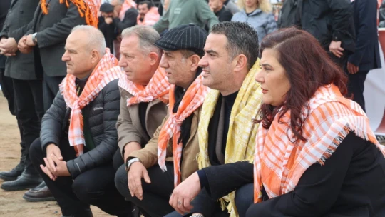 Koçarlı'da develer arenaya indi, şampiyonluk için güreşti