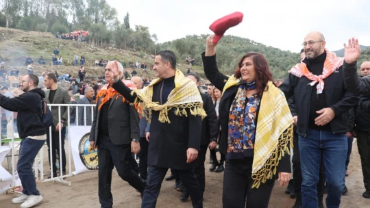 Koçarlı'da develer arenaya indi, şampiyonluk için güreşti