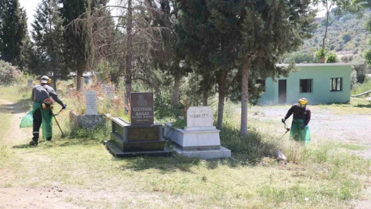 Koçarlı'da Kurban Bayramı öncesi mezarlıklarda temizlik seferberliği başladı
