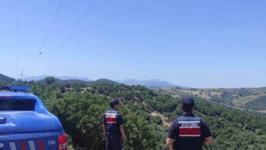Koçarlı'da ormanlık ve piknik alanları denetlendi