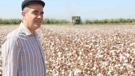 Koçarlı'da pamuk hasadı başladı