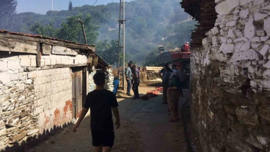 Koçarlı'daki yangın kontrol altına alındı