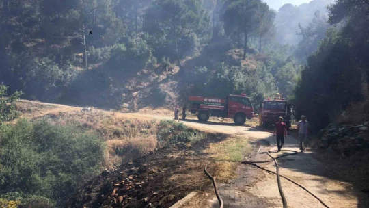 Koçarlı'daki yangın kontrol altına alındı