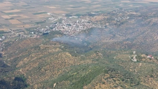 Koçarlı'daki zeytinlik yangını kontrol atına alındı