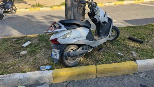Kontrolden çıkan motosiklet ağaca çarptı: 1 ağır yaralı