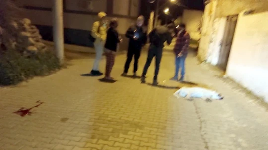 Köpeğe çarpan motosikletin sürücüsü ağır yaralandı