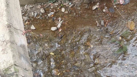Köşk Başçayır Mahallesi'ndeki köprü tehlike saçıyor
