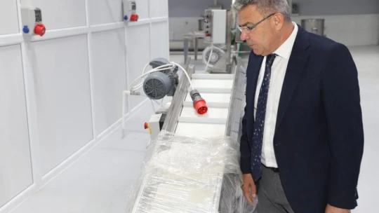 Köşk Belediyesi'nin 'Kestane Şekeri Tesisi' projesi hayal oldu